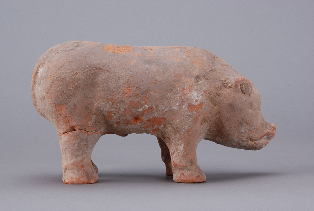东汉陶猪