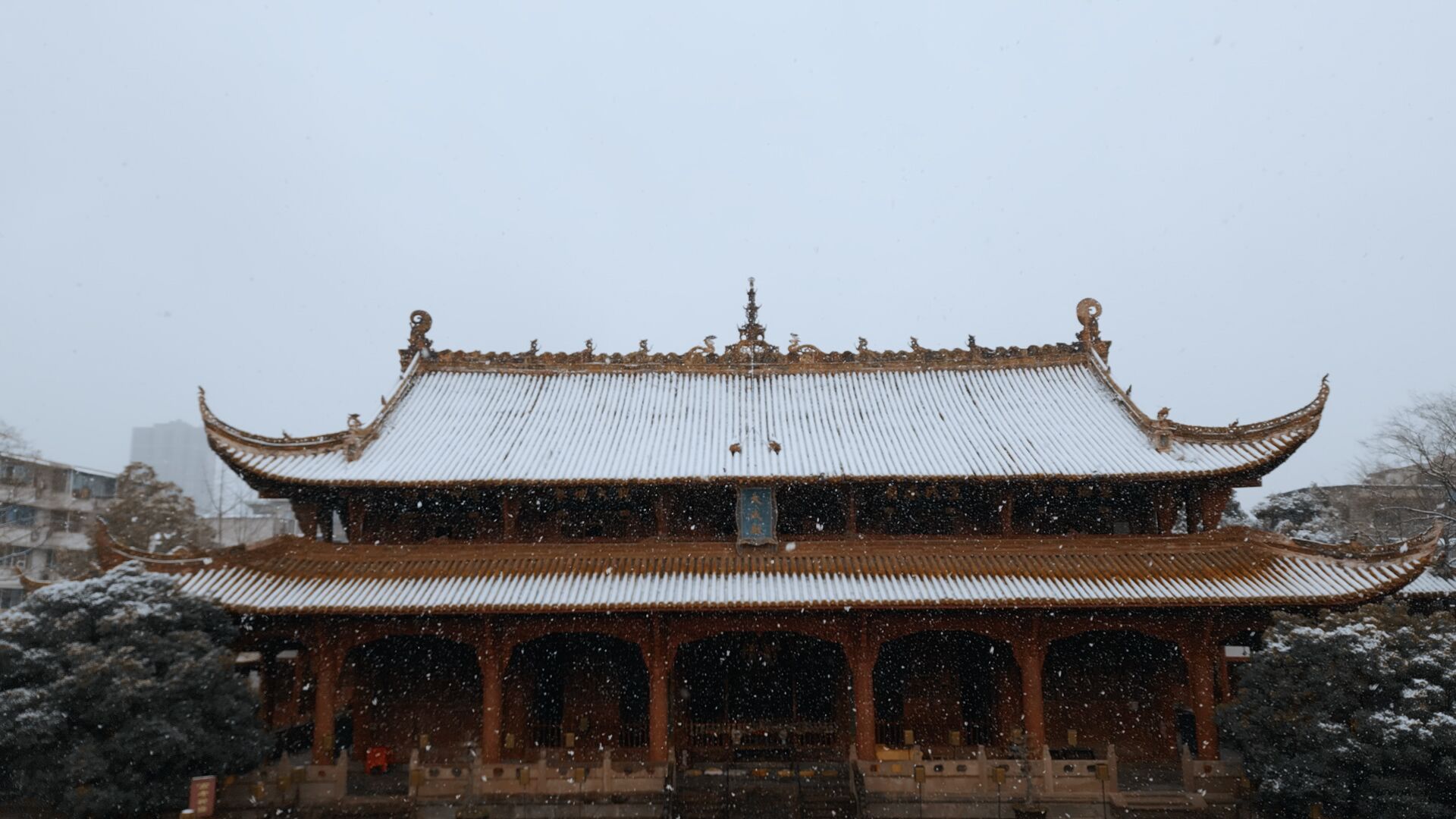 美哭了!德阳文庙的雪(图5) 美哭了!德阳文庙的雪(图5)