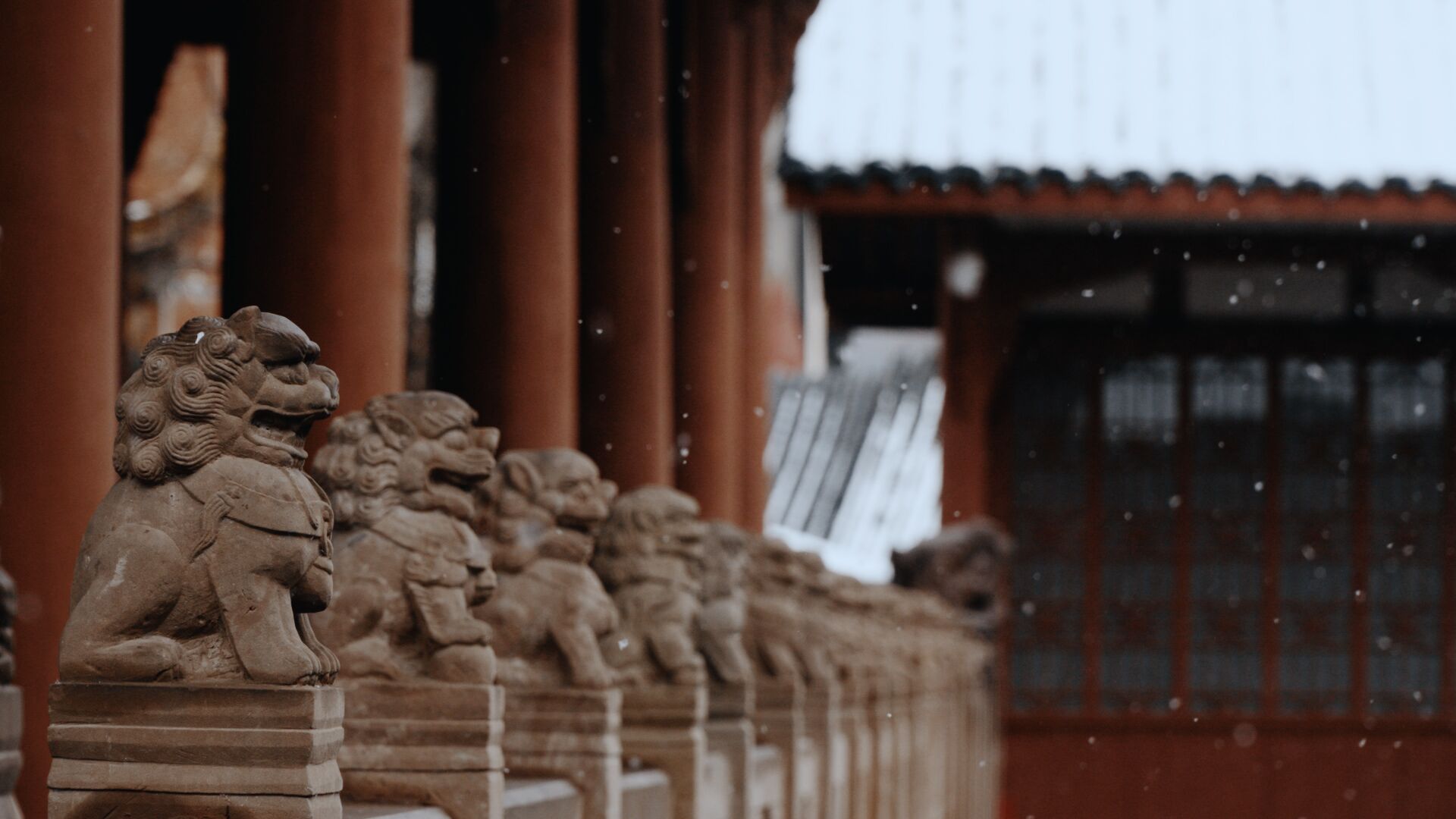 美哭了!德阳文庙的雪(图8) 美哭了!德阳文庙的雪(图8)