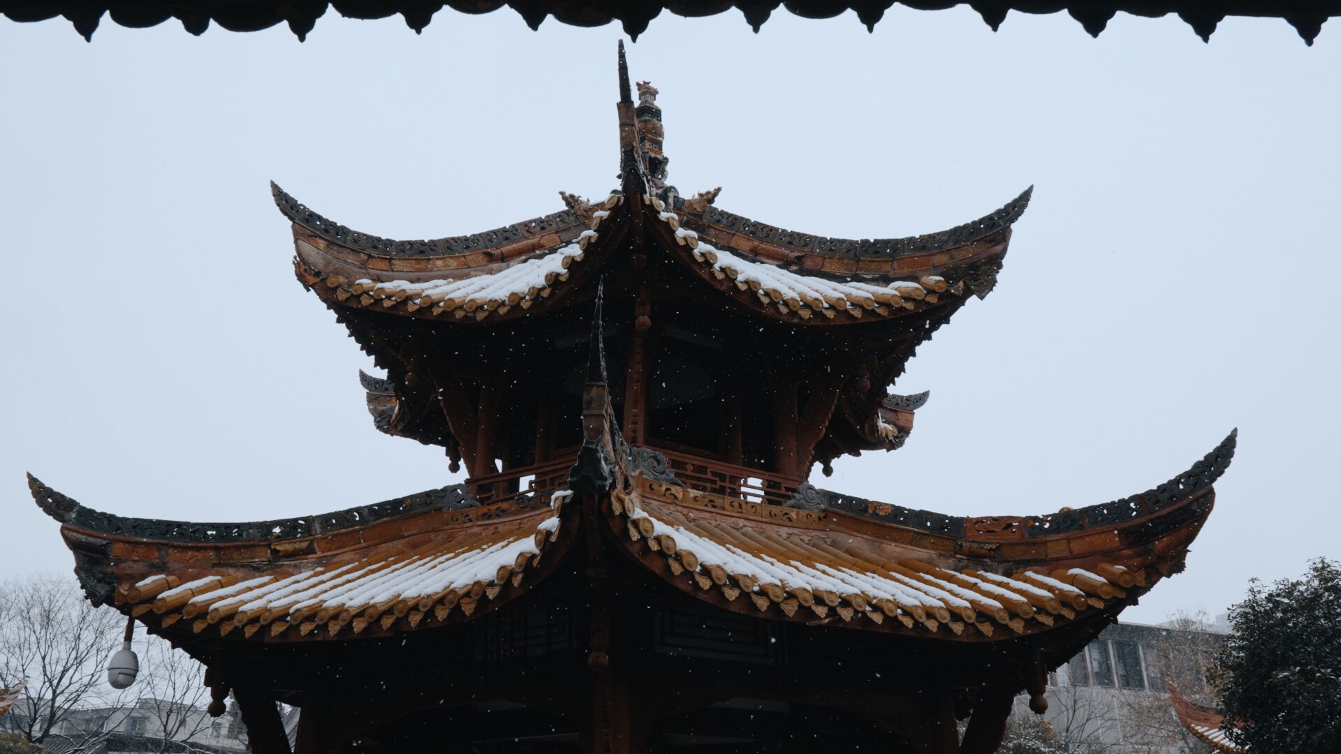 美哭了!德阳文庙的雪(图9) 美哭了!德阳文庙的雪(图9)