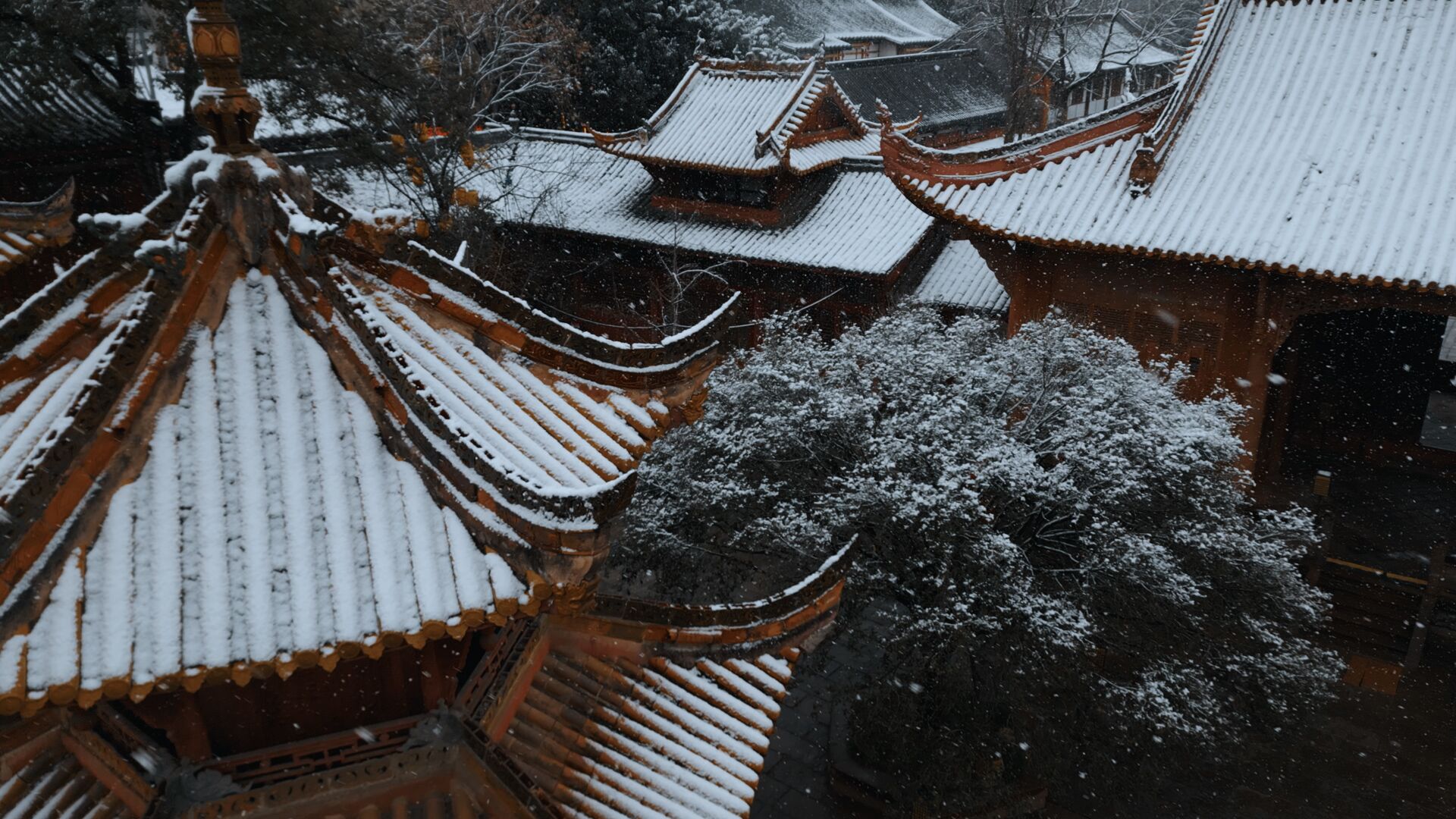 美哭了!德阳文庙的雪(图11) 美哭了!德阳文庙的雪(图11)