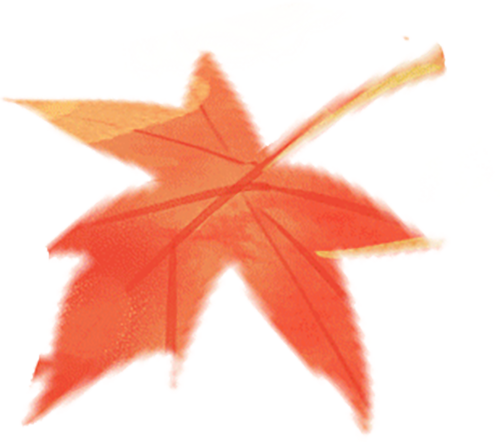 免费报名通道已开启 | 校博联动.与你共午  让午休持续绽放活力光彩