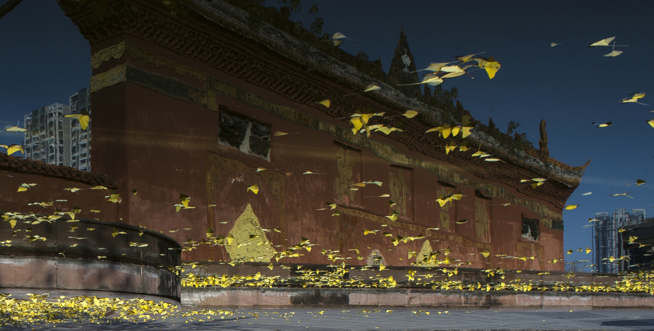 德阳文庙五一国风文化盛宴｜4.30–5.5 免费畅玩！(图28)