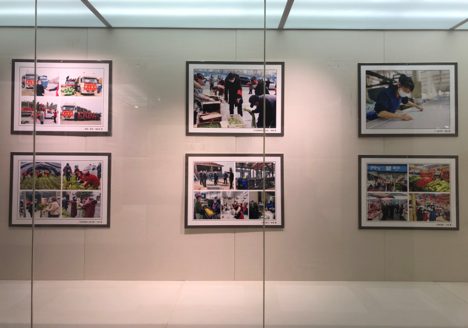 临时展览(图12)
