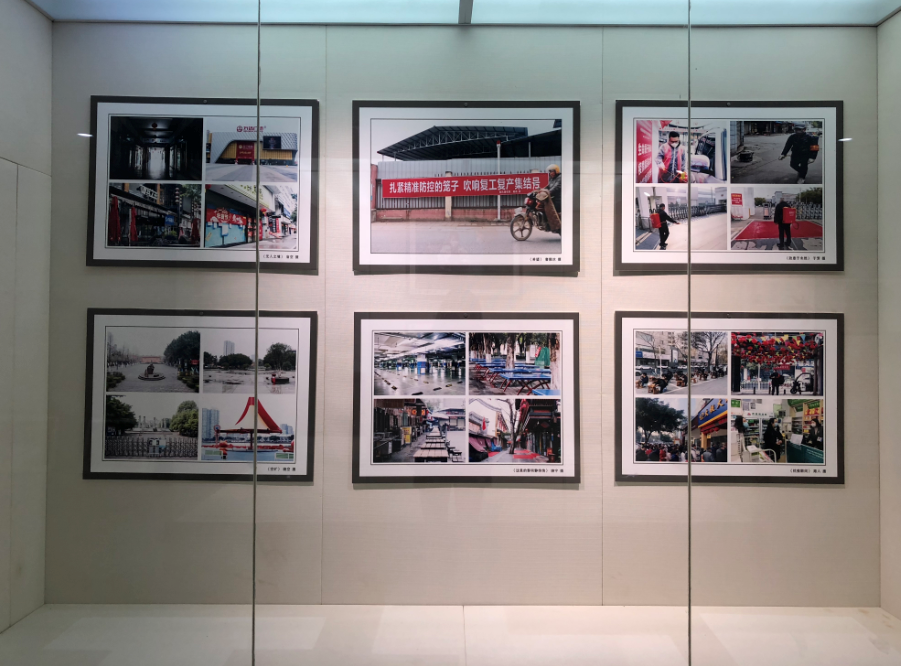 临时展览(图11)
