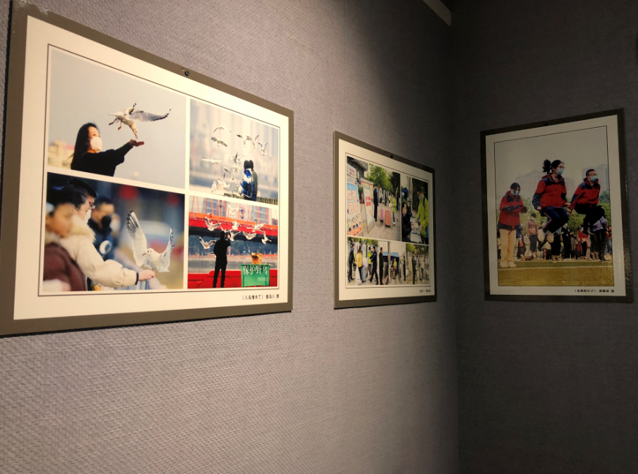 临时展览(图10)